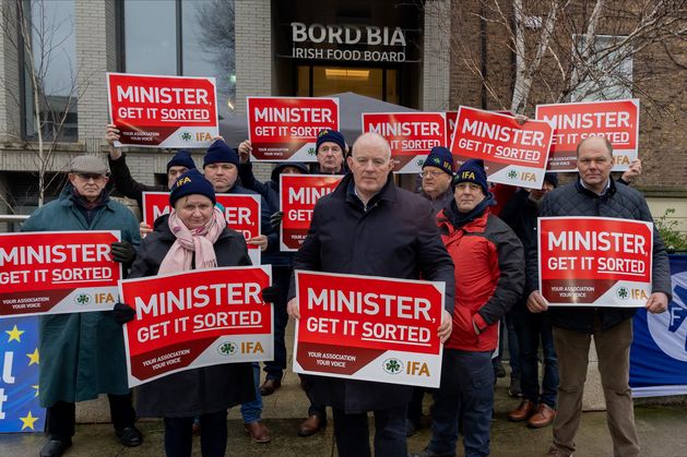 Chair of Wexford council calls on Bord Bia chief to step aside – ‘He has lost the confidence of the Irish agricultural community’