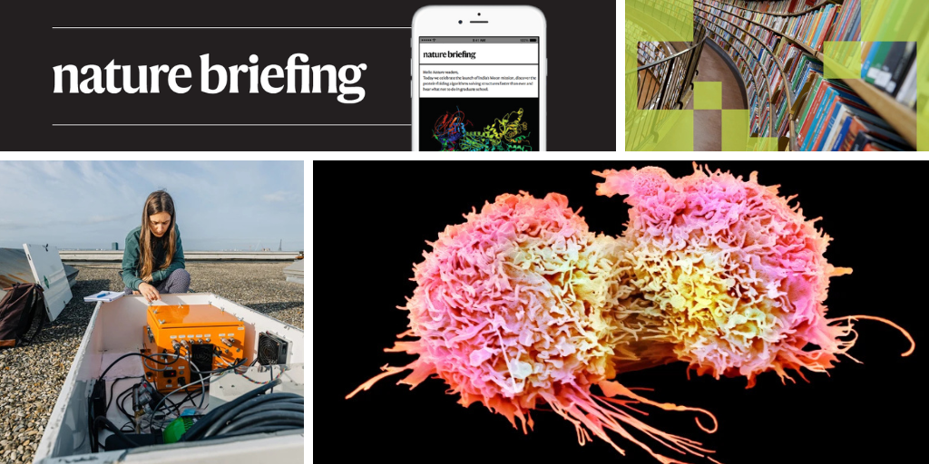 Daily briefing: Tumours use neurons as hotline to the brain