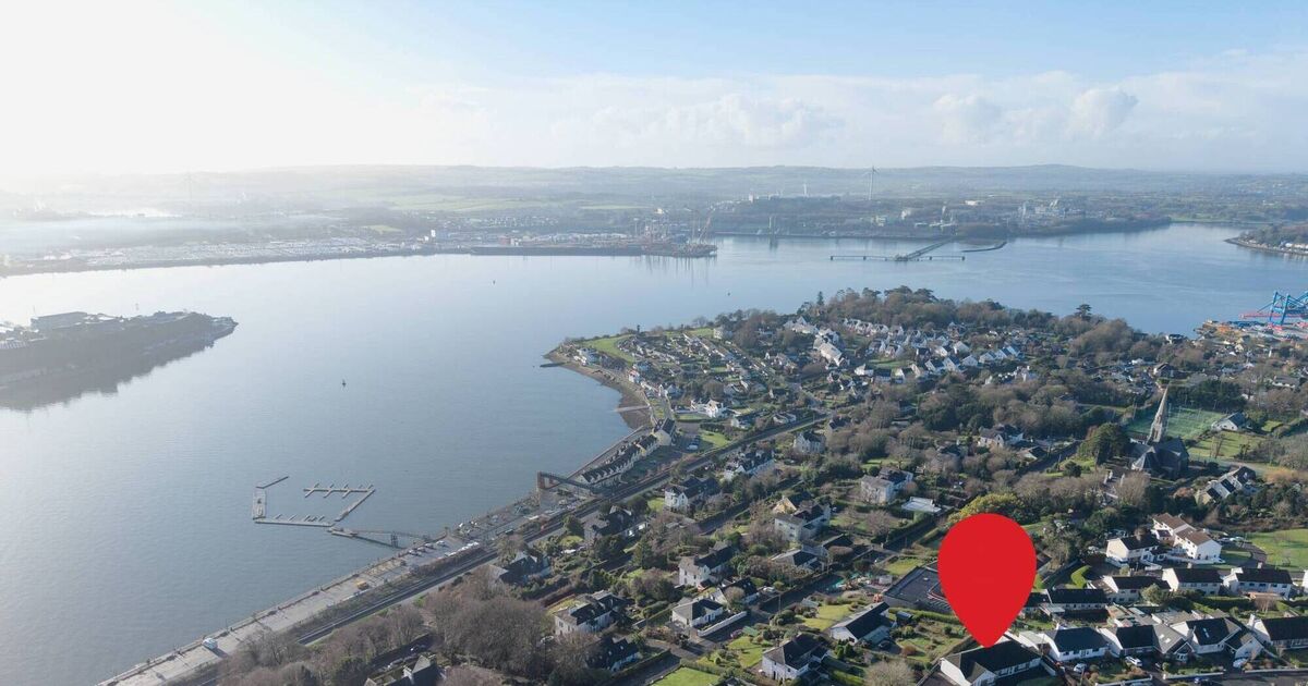 Soak up the harbour views from €580k Norwood Park home