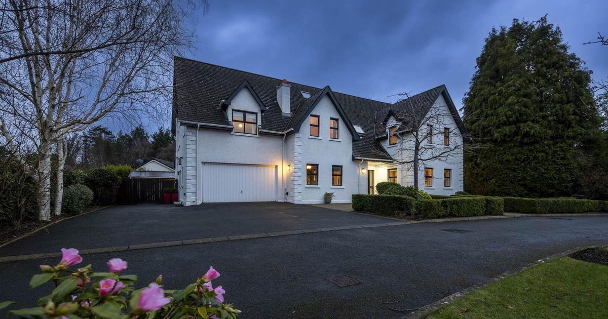 Inside superb £1.15m Holywood home that's ideal for the busy family