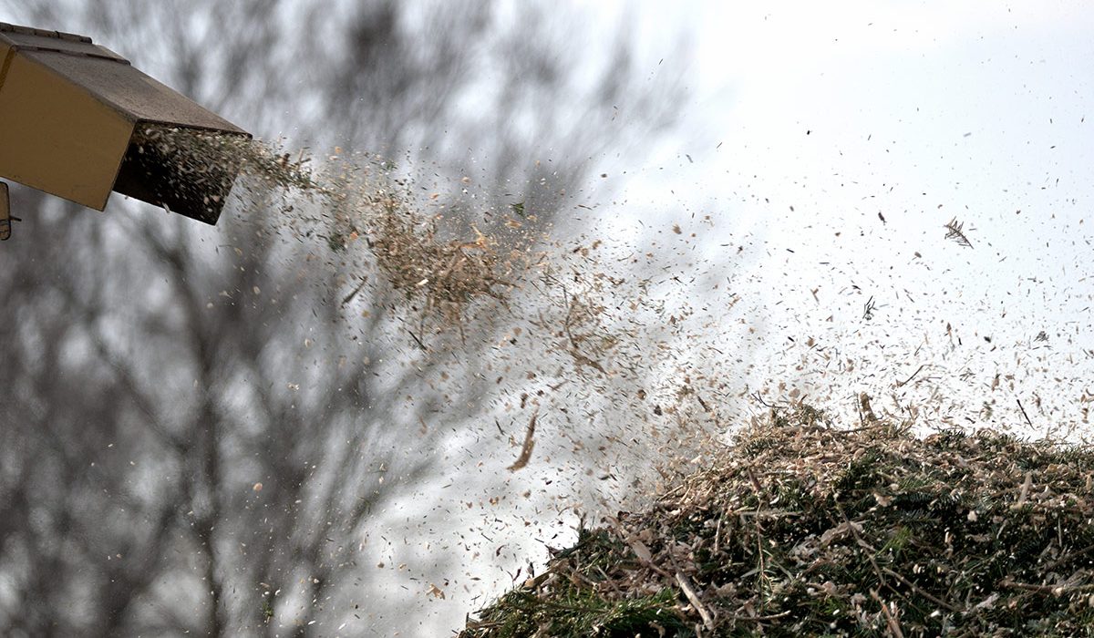 Man fed wife to wood chipper in chilling murder case