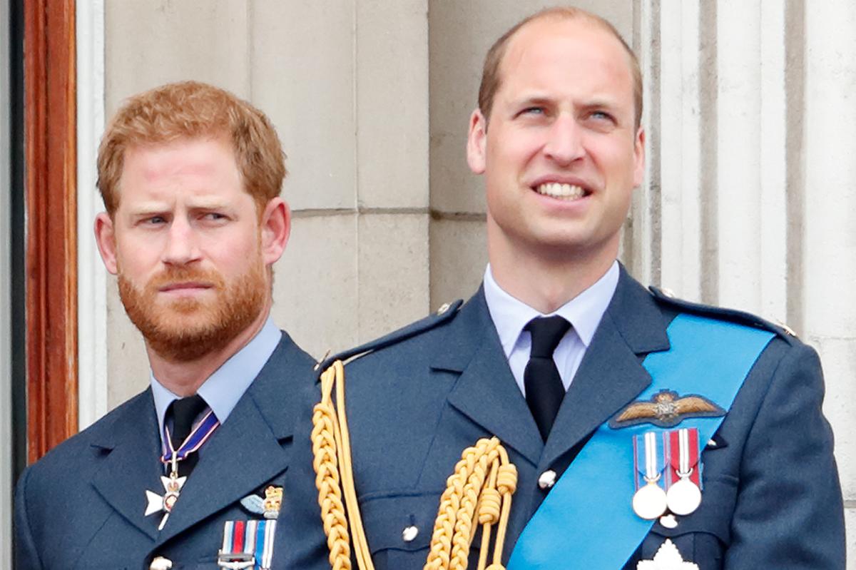 Prince Harry reached out to William through an 'intermediary': How...