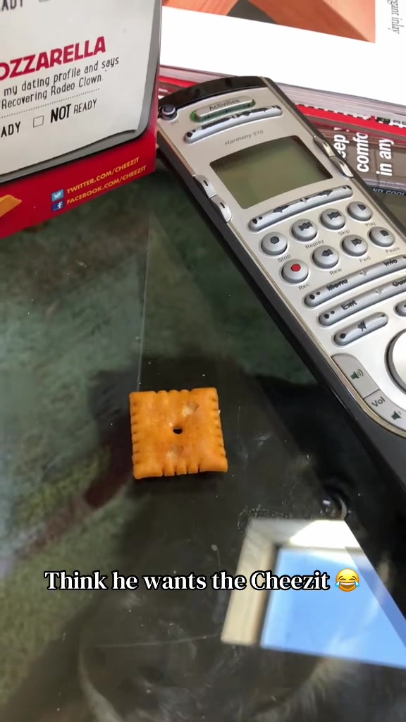 Thru the table 😂 (🎥:@BillyD3152)