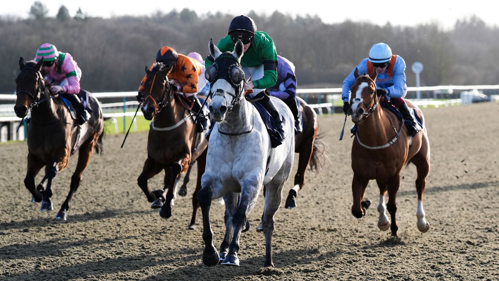 Today on Sky Sports Racing: Ferrous and El Bodon clash in Lingfield Sprint Trial