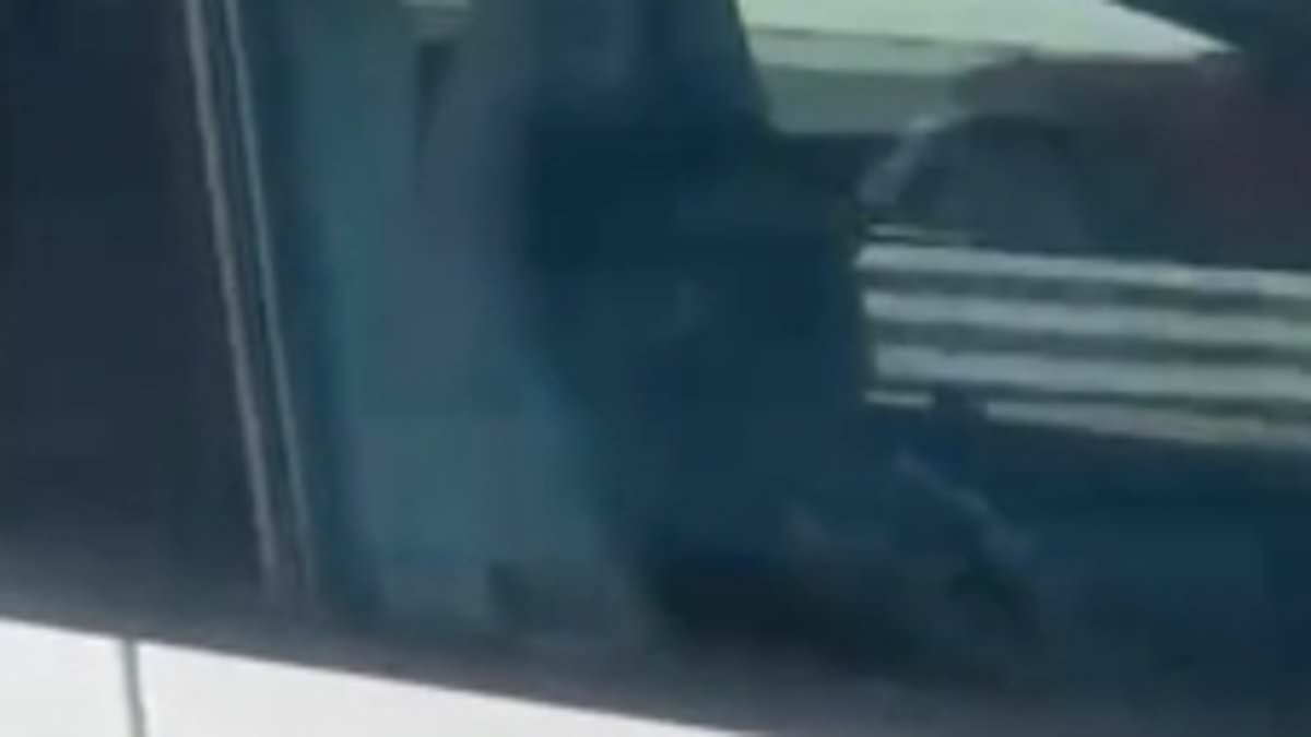 Female driver filmed taking afternoon nap behind wheel of self-driving Tesla as it barreled down California freeway