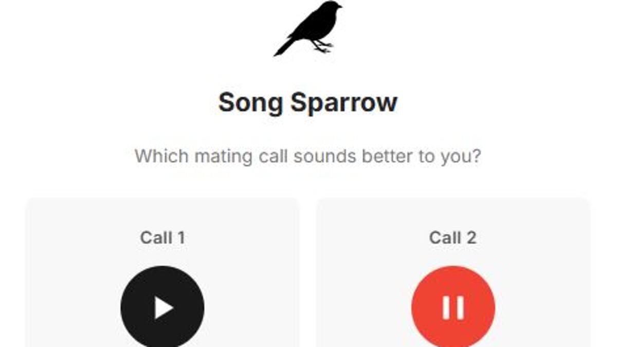 What mating call do YOU find most appealing? Take the test - as a bizarre study reveals humans and animals have the same taste