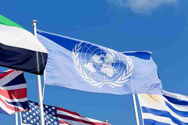 LANE ONE: Pathetic statement implies the United Nations is for transgenders in women’s sports; another U.N. expert said no in 2024!