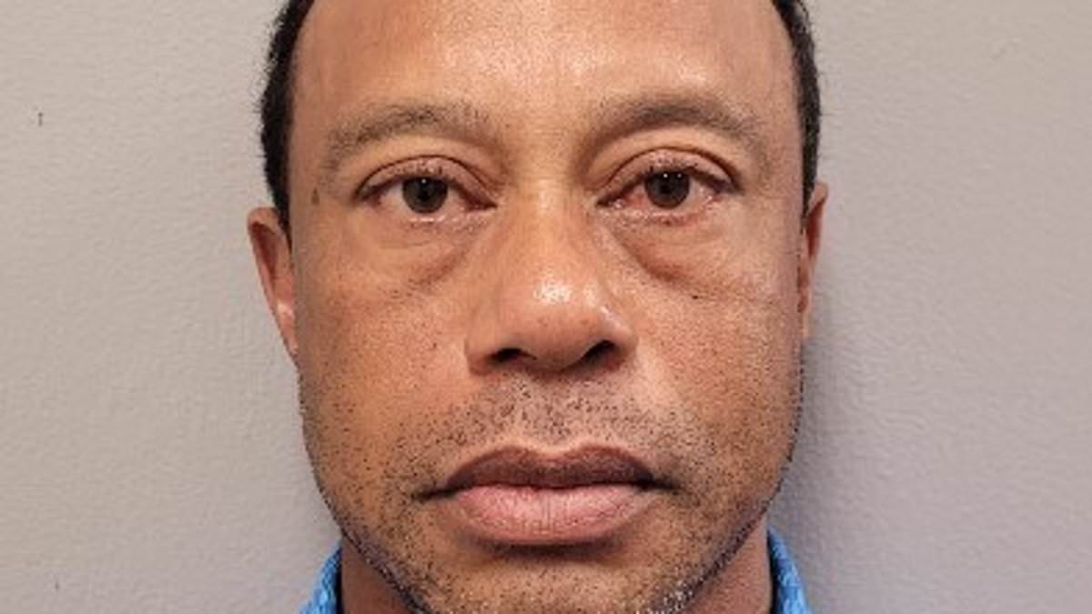 Tiger Woods should NEVER play golf again, top analyst claims after latest car crash and DUI arrest: 'Keeps hurting himself'