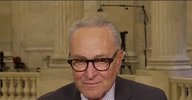 Schumer on DHS Funding: 'We Held It Up' to Get Changes to ICE, CBP, Shutdown's GOP's Fault