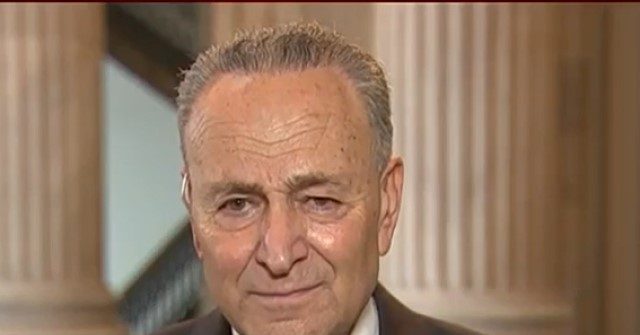 Schumer on What DHS Shutdown Accomplished: We Showed People Dems Want Changes to ICE, CBP