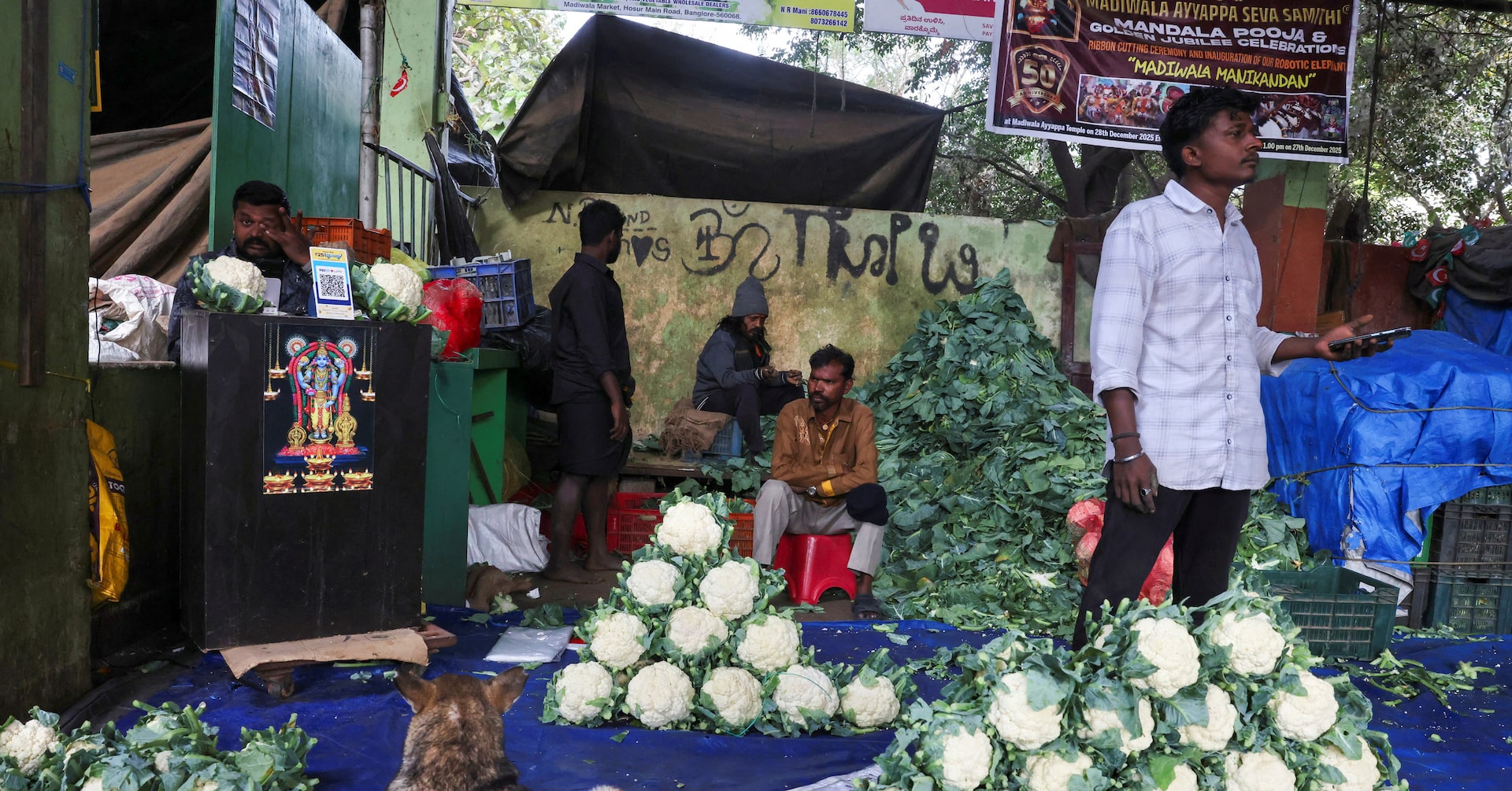 India March consumer inflation likely rose modestly to 3.48% despite energy shock: Reuters poll