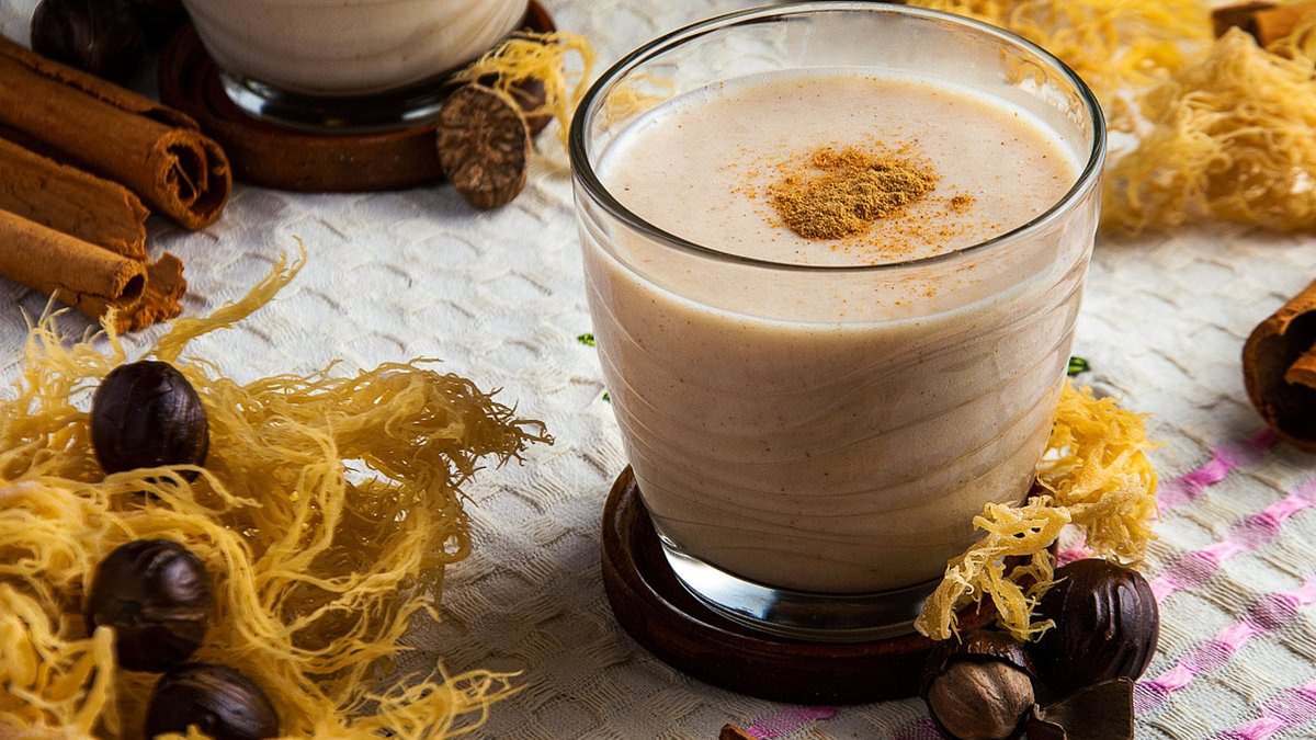 Sea moss is one of 2026's biggest health food trends: Experts explain what it is and who SHOULDN'T be tucking into a jar of slimy algae