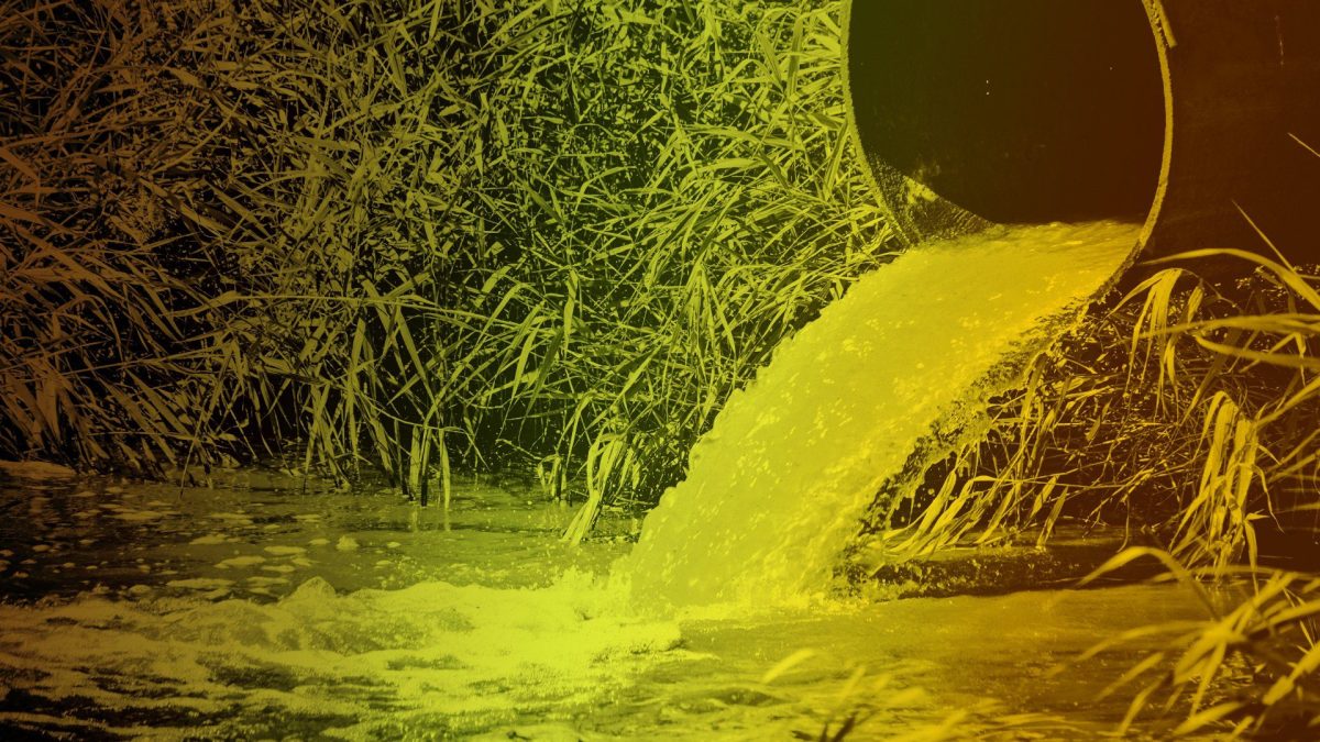 Finally, water firms in sewage scandal hit by record 96 criminal investigations