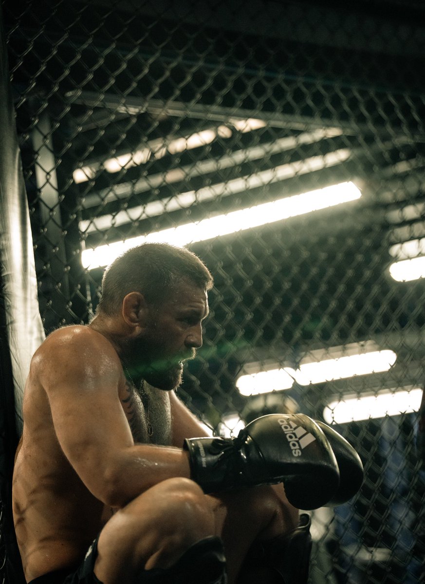 I’m coming back to do what I do. Knock people out for my money.