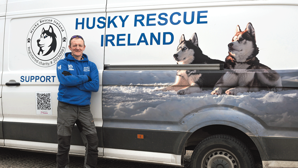 Local Faces: Andy Cullen