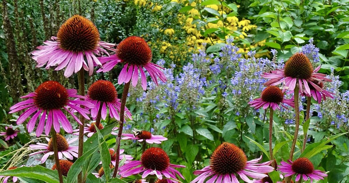 Peter Dowdall: Organic matter is essential for heavy clay or sandy Irish soils