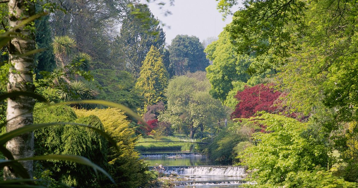 13 great family places to visit within an hour's drive from Dublin