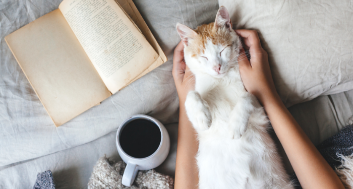 8 Moving and Meaningful Nonfiction Books About Pets