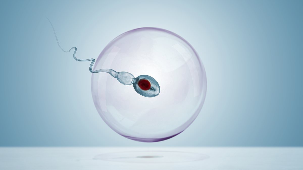 World's first Sperm Olympics: Men from over 100 countries are racing their swimmers for $100,000 amid America's fertility crisis