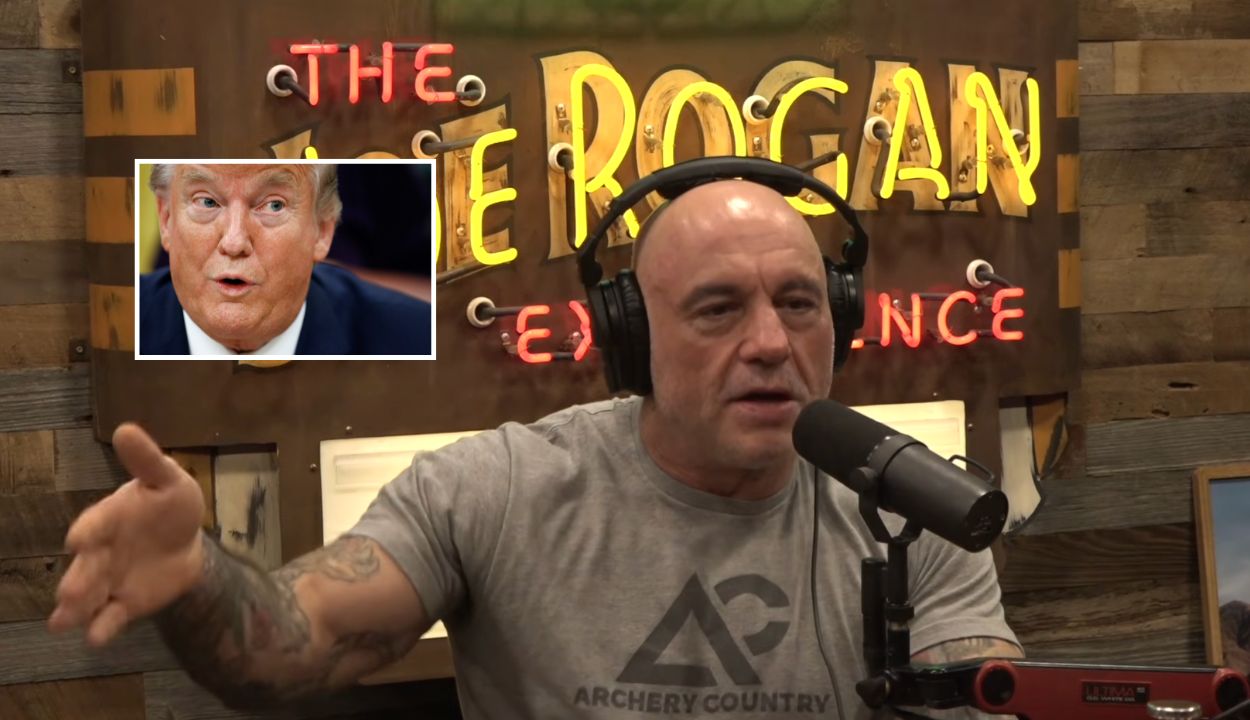 ‘Now You’re F*cked’:  Joe Rogan Stunned By Trump Crypto Coin’s Wild Ride