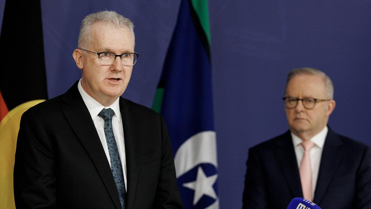 ISIS brides likely ‘weighing up’ Australia return: Tony Burke