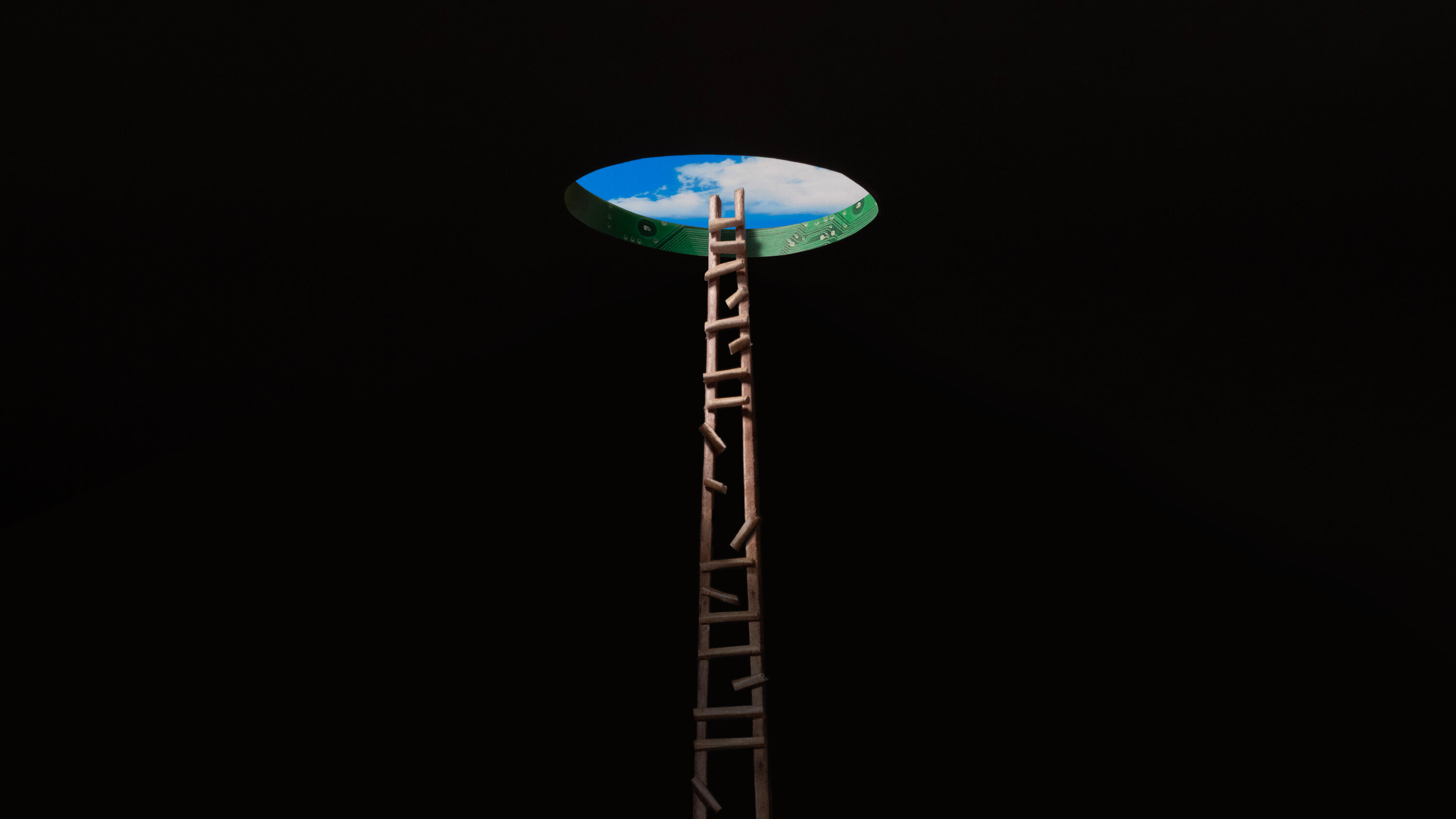 Opinion | The A.I. Fear Keeping Silicon Valley Up at Night