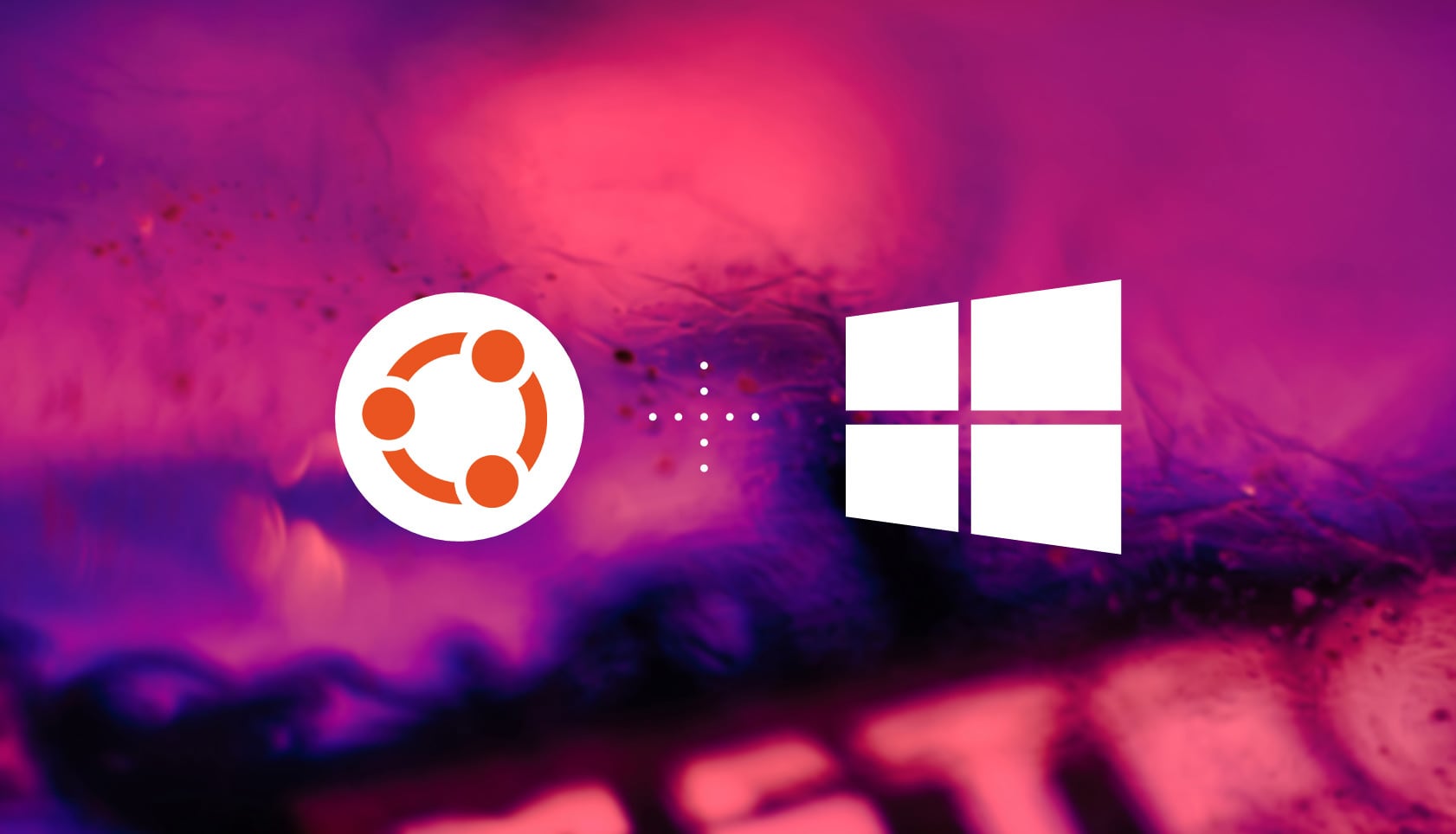 Ubuntu Pro is Now Available on Windows (For WSL, Obvs)