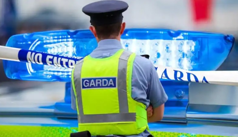 Woman and four-year-old 'murdered' in Offaly house fire in 'callous attack'