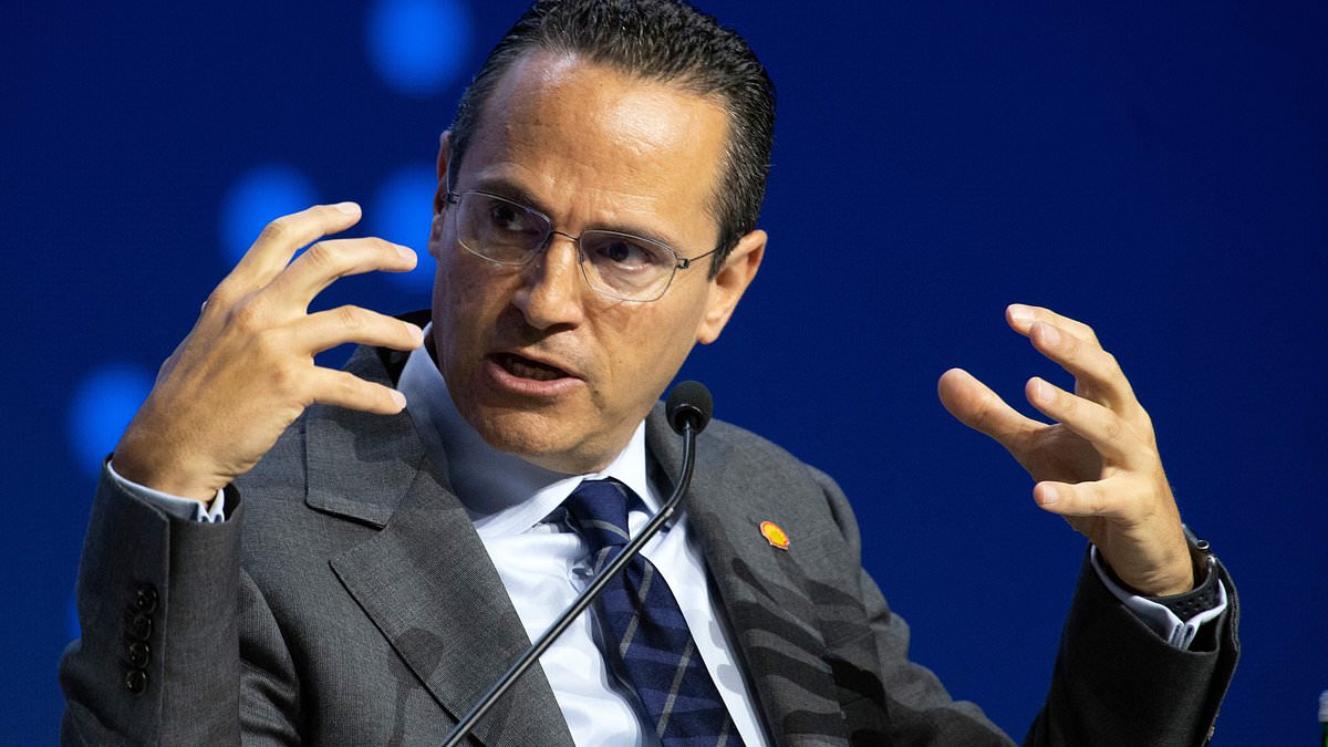 Shell profits surge on Middle East conflict as energy prices balloon
