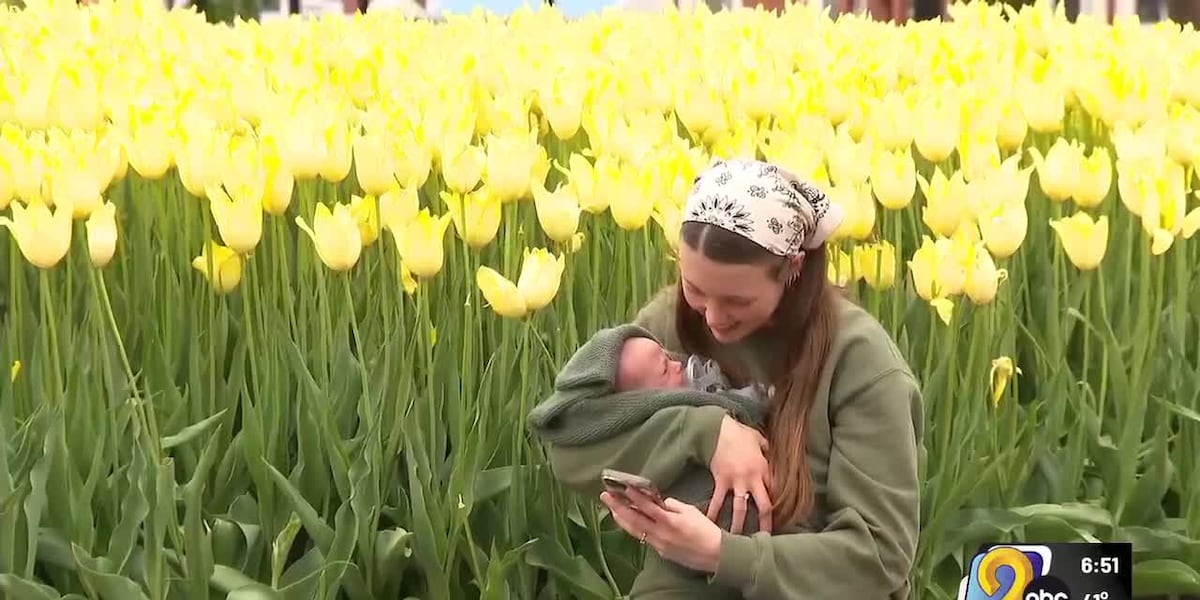 Pella Tulip Time kicks off with blooms and Dutch traditions