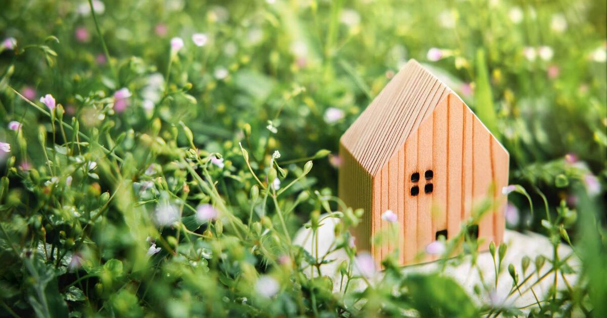 'Garden homes might seem promising, but could negatively impact vulnerable individuals and families'