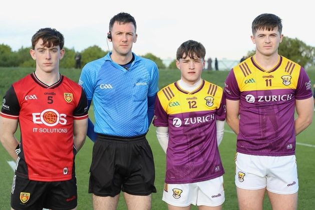 Wexford’s All-Ireland hopes are dashed by fine Down second-half