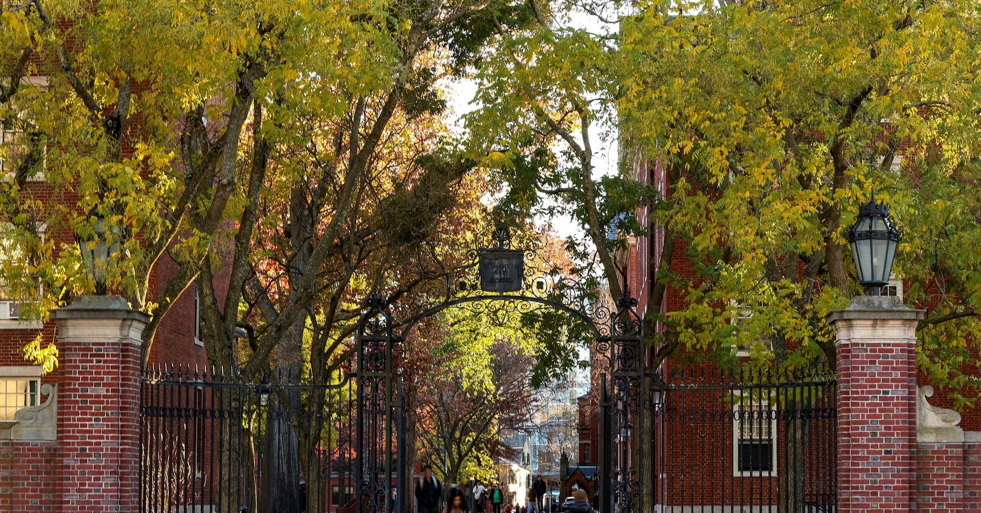 Harvard faculty take aim at grade inflation by capping 'A' grades for students