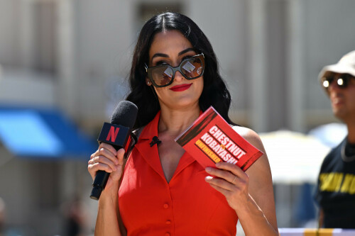 Nikki Bella shares update on ankle injury