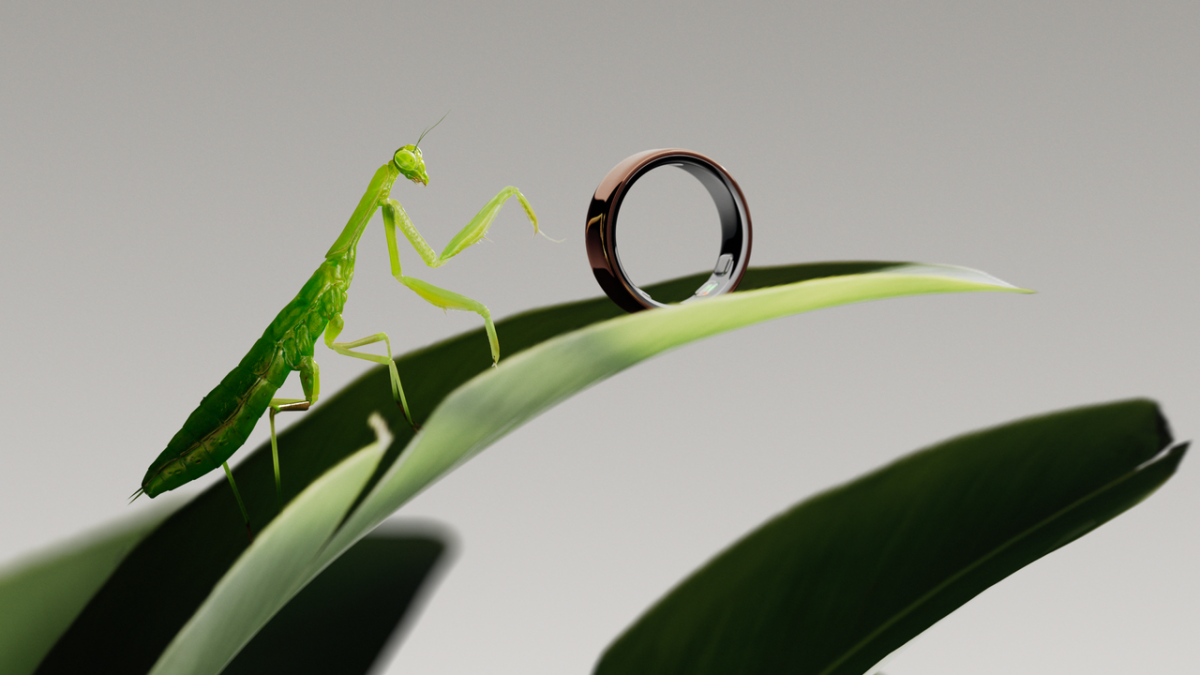 The Oura Ring 5 Is Official, and Starts Shipping Next Week
