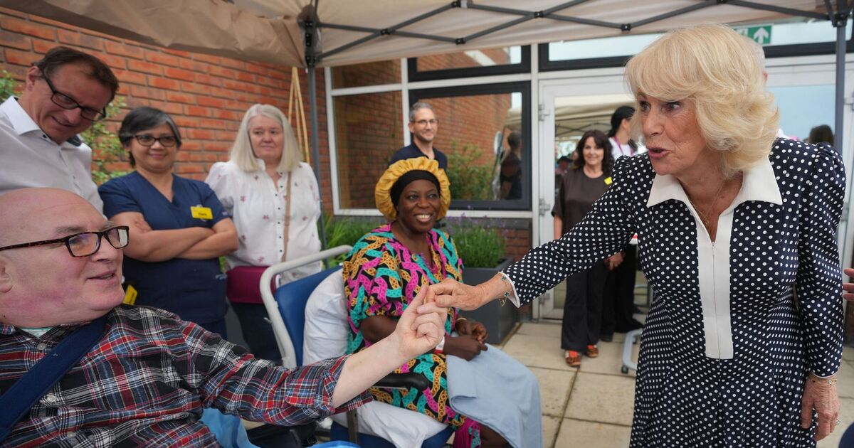 Queen Camilla hails 'wonderful' new rooftop hospital garden