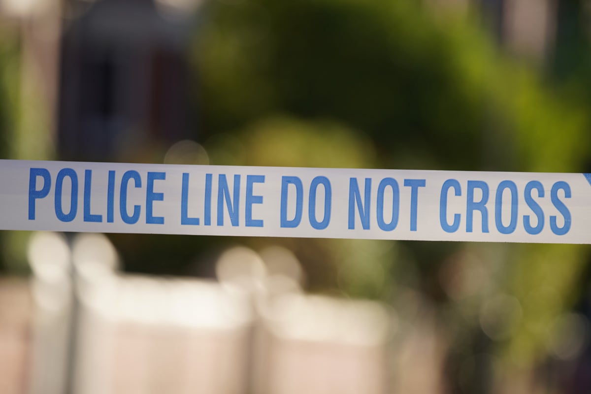 Norwegian teen recruited by Swedish gang to commit murder in UK, court told