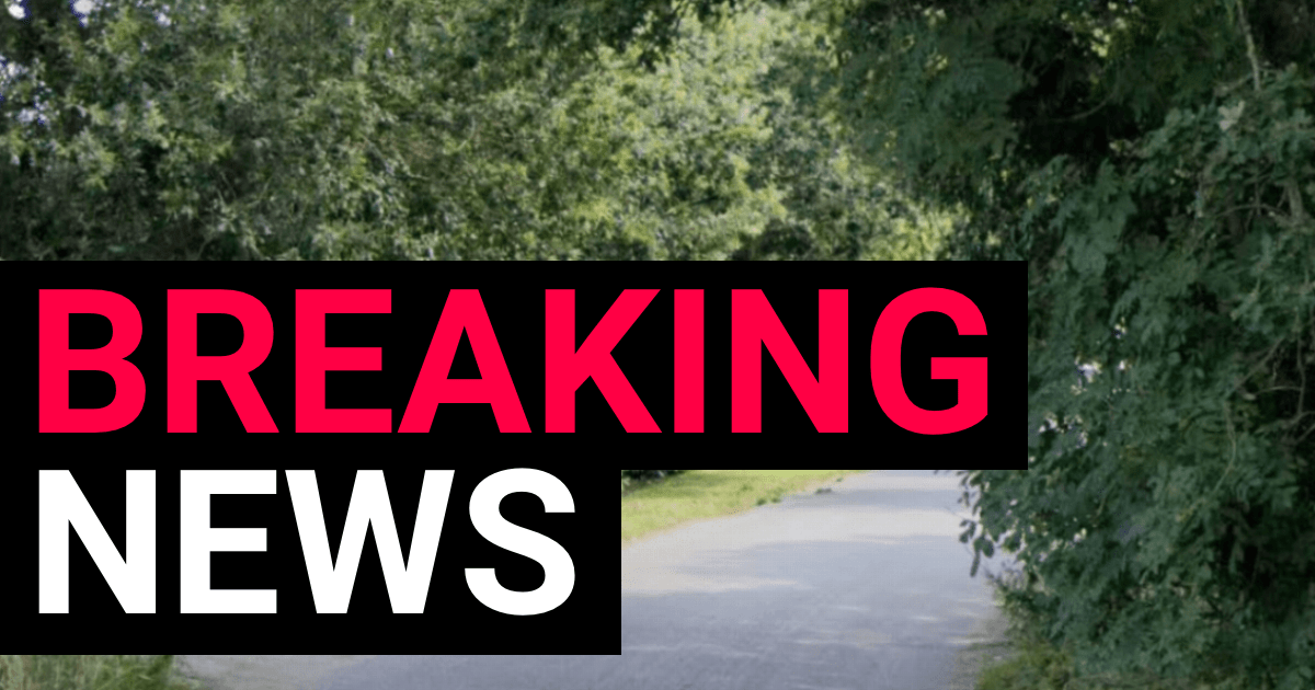 Boy, 12, dies in hospital after being struck by car in Essex village