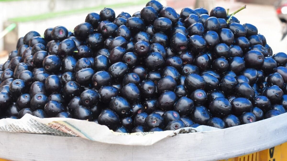 Jamun Season Is Here: 5 Foods You Should NOT Eat After Eating This Summer Superfruit