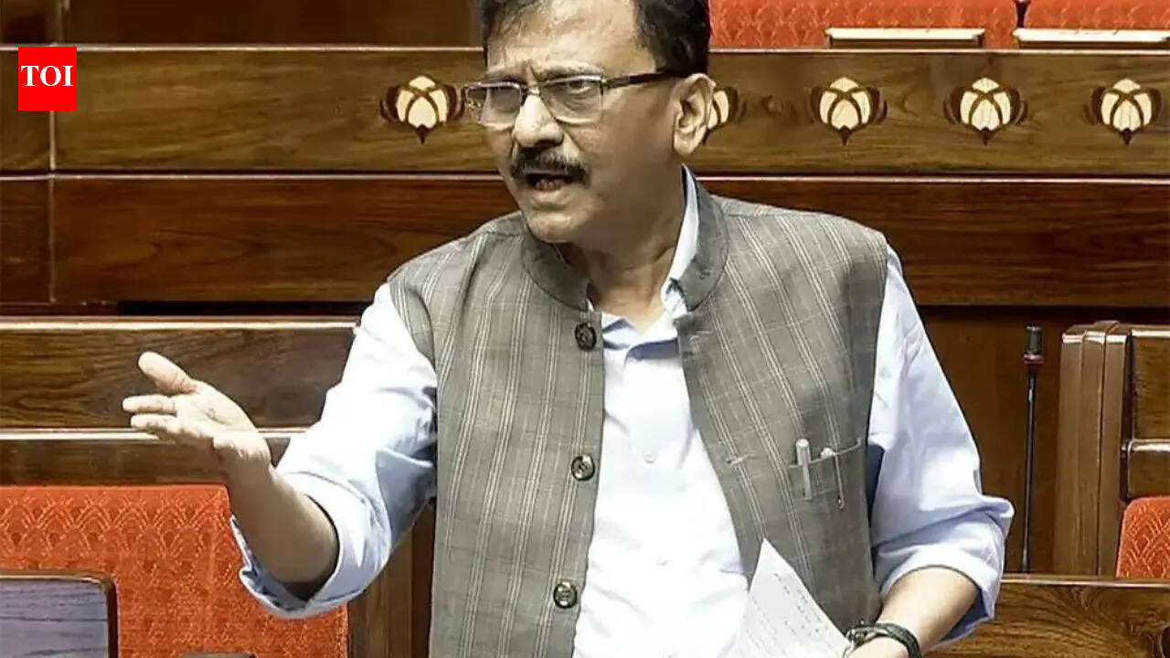 Operation tiger not easy, Sanjay Raut takes presser with 3 Lok Sabha MPs in Delhi
