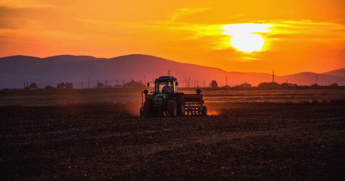 Mars goes all in on renewables as emissions fall and growth climbs