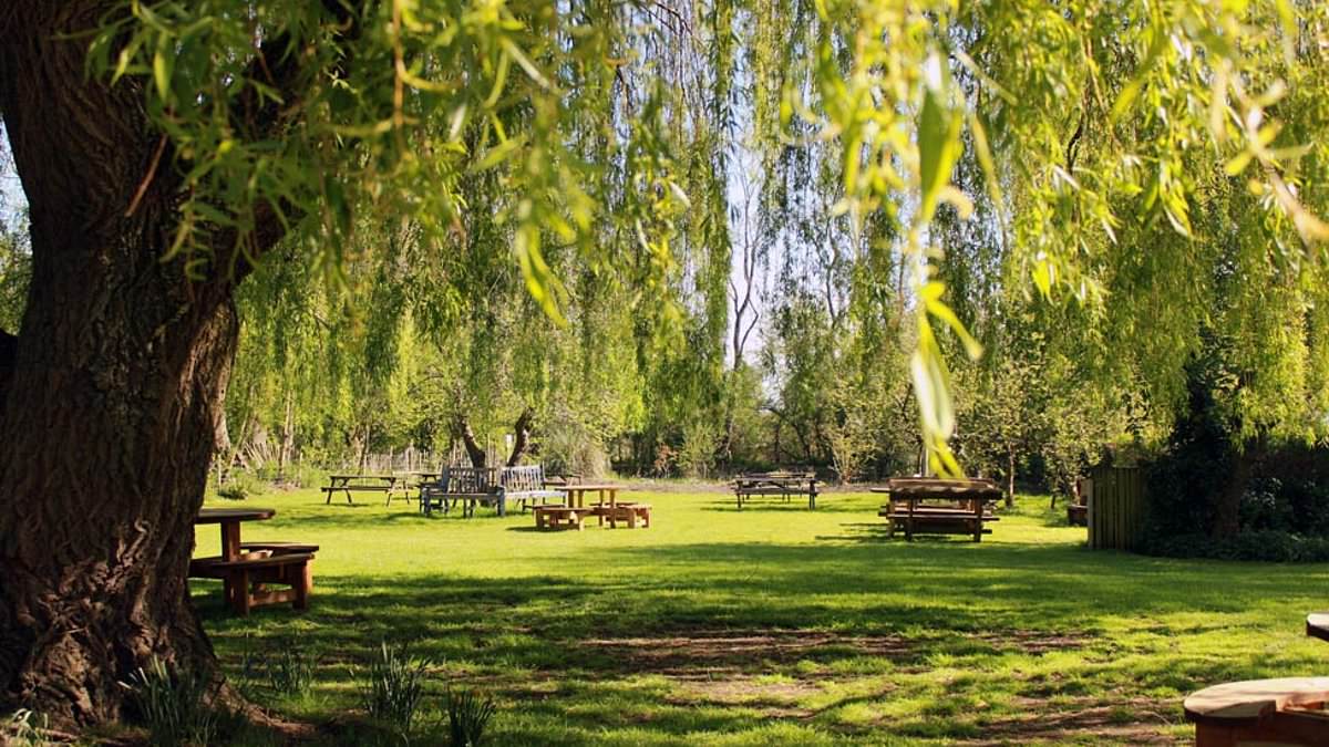 I asked locals for the hidden-gem pubs in their areas. This is the definitive list of the 27 best beer gardens in Britain... including where to watch (or avoid) the World Cup this weekend