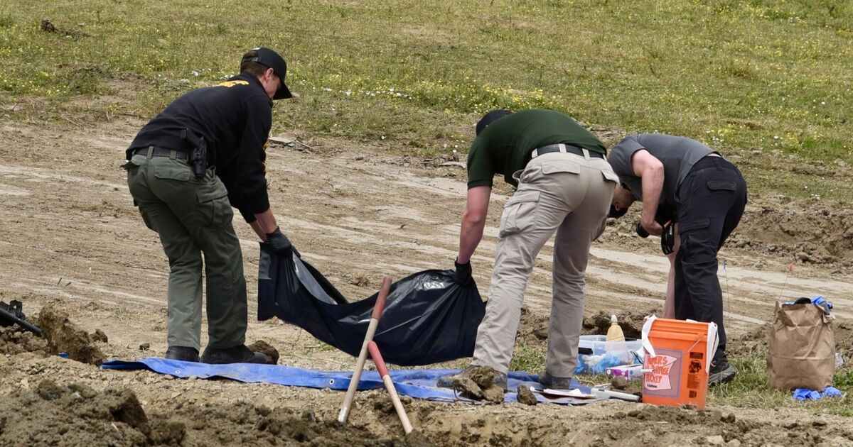 Remains of at least 117 dogs found with gunshot wounds at animal shelter