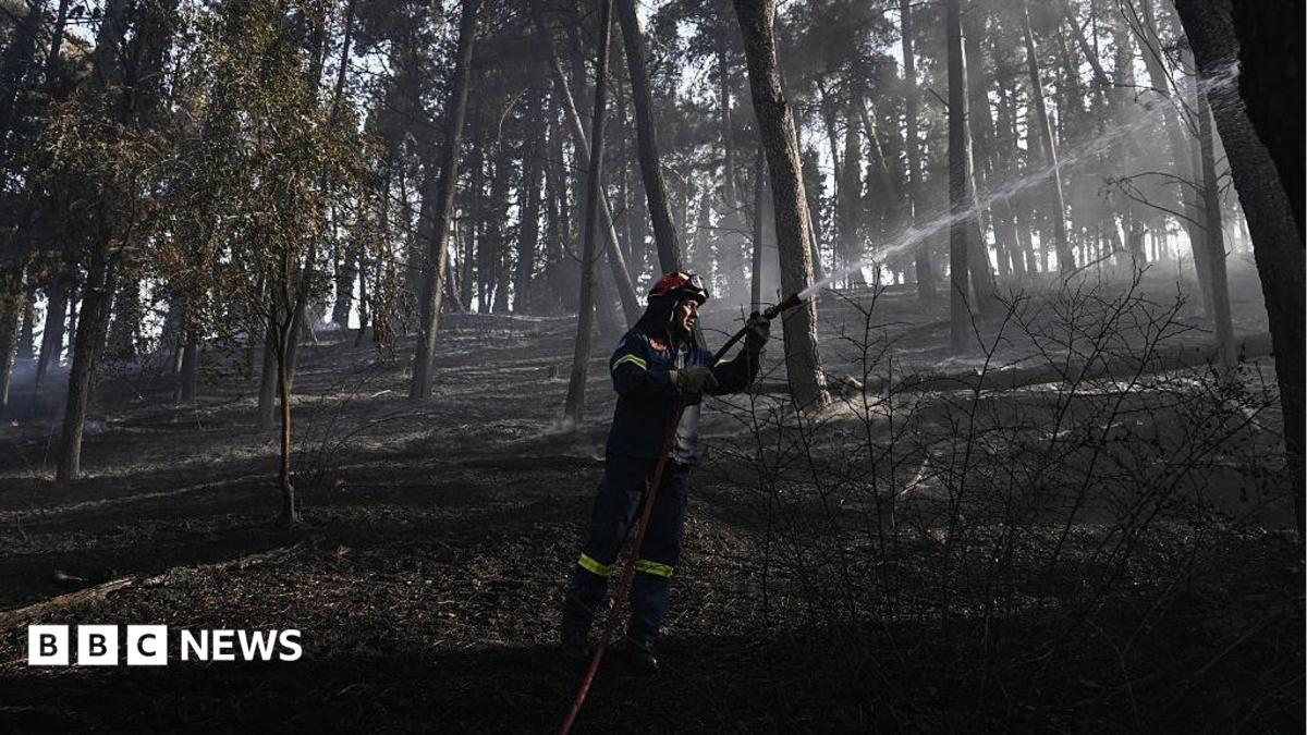 Greece wildfire leaves one dead as firefighters struggle to contain blaze