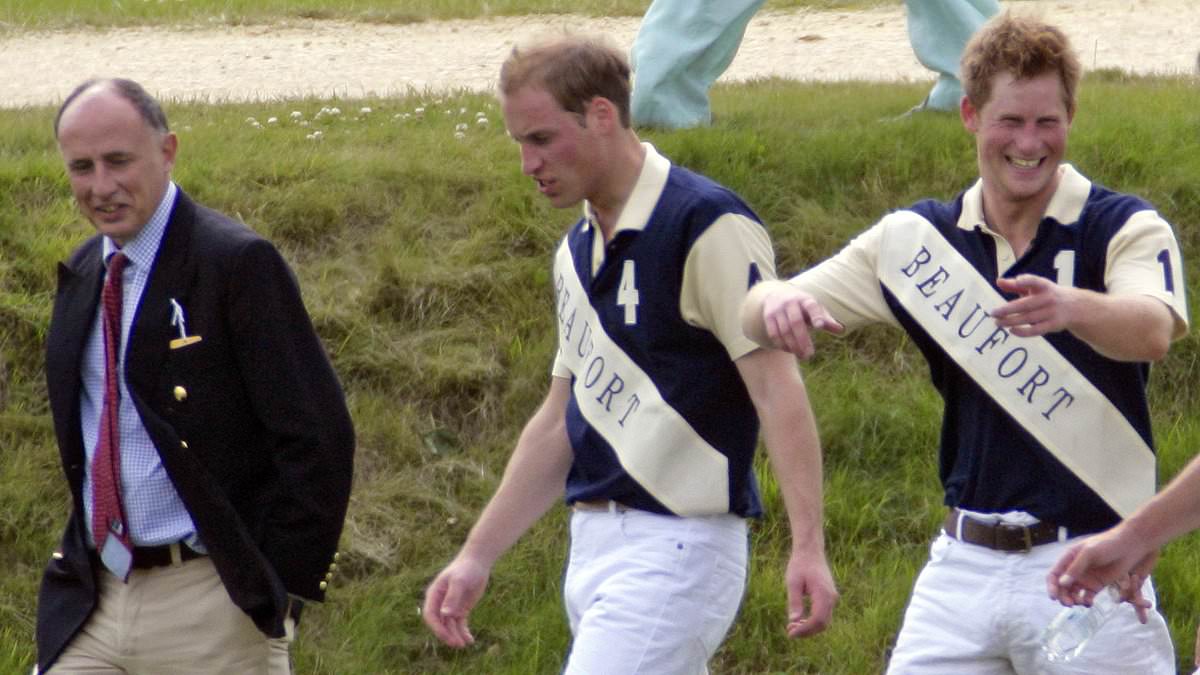 The man who could reconcile Britain's warring Princes: Royal expert reveals why an ex-SAS soldier could 'undoubtedly' reunite William and Harry