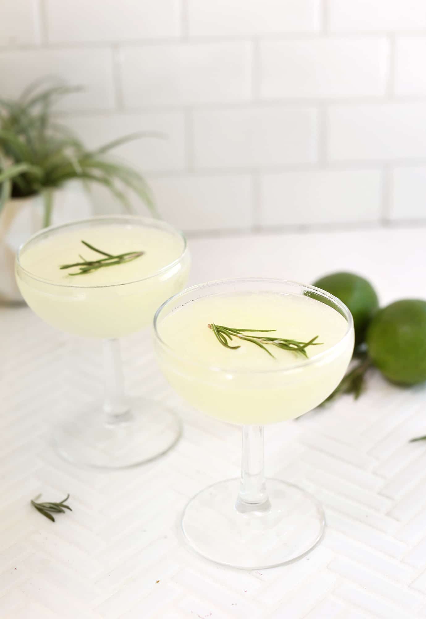 Classic Gimlet Cocktail
