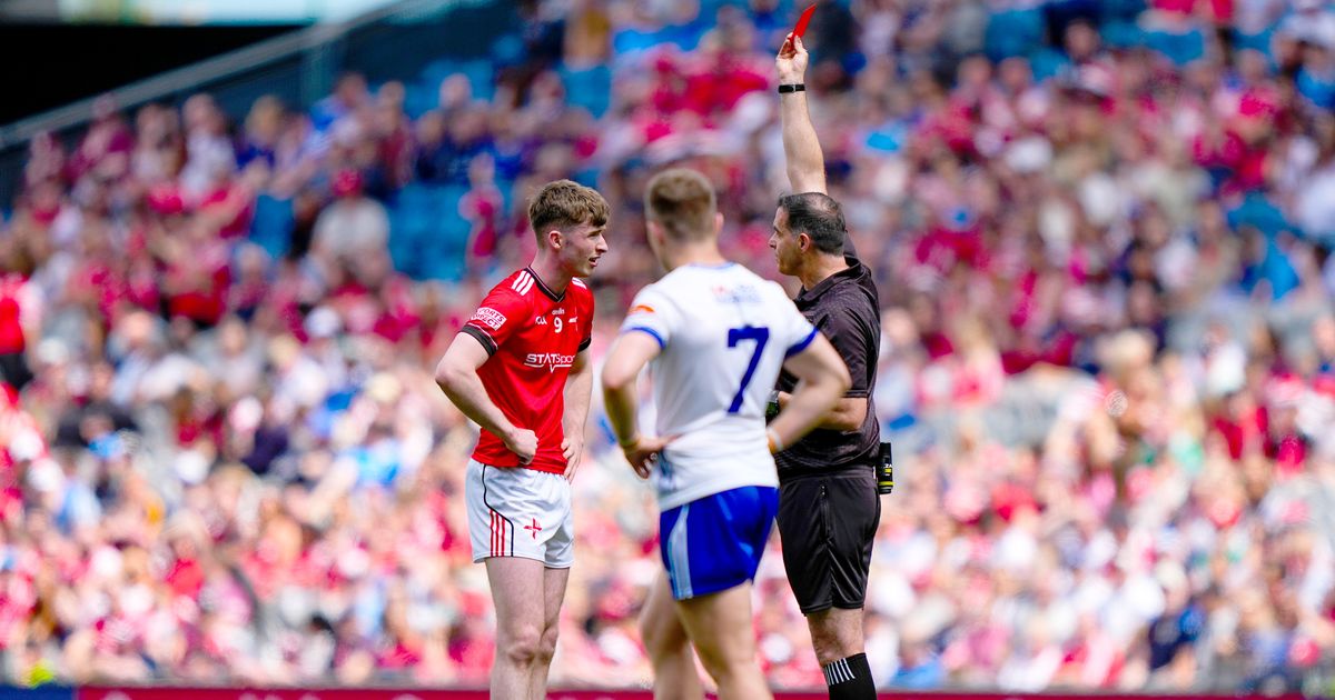 Louth GAA confirm appeal decision for All-Ireland semi-final - 'I don’t want it on my conscience'