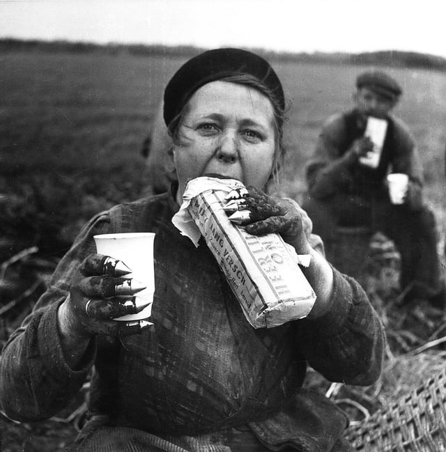 "A Dutch potatoes diggers having a meal on the field". Photo: Charles Breijer (1914 - 2011).The Netherlands - near Groningen, 1940 [1281x1300]
