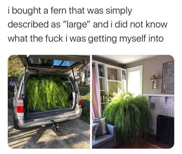 Startled by shrub like size.
