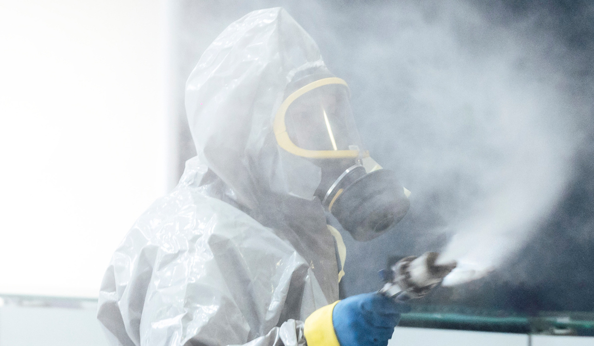 Grubby money! Dáil pests to cost taxpayer €200k